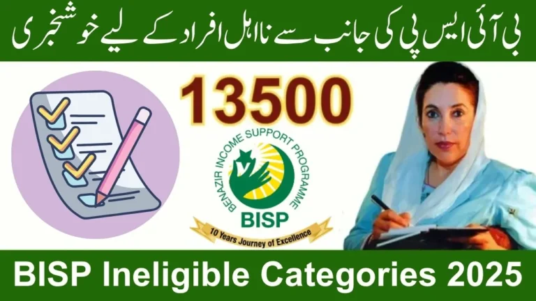 BISP Ineligible Categories 2025 – Full List of Disqualified People