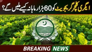 CM Punjab Agriculture Internship Program 2025 – Paid Internship for Agriculture Graduates