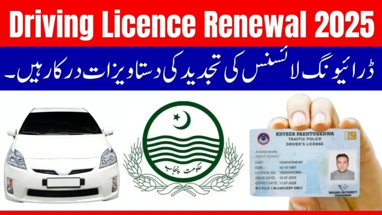 Driving Licence Renewal 2025