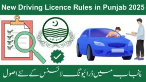New Driving Licence Rules in Punjab 2025